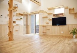 大切な愛猫との暮らしを楽しむための工夫のある住まい